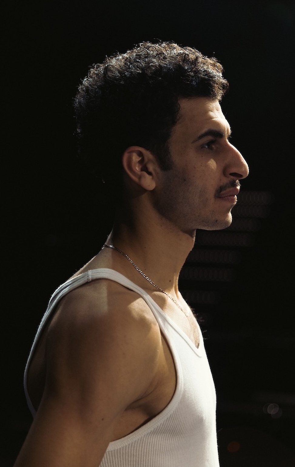 Mouataz Alshaltouh 